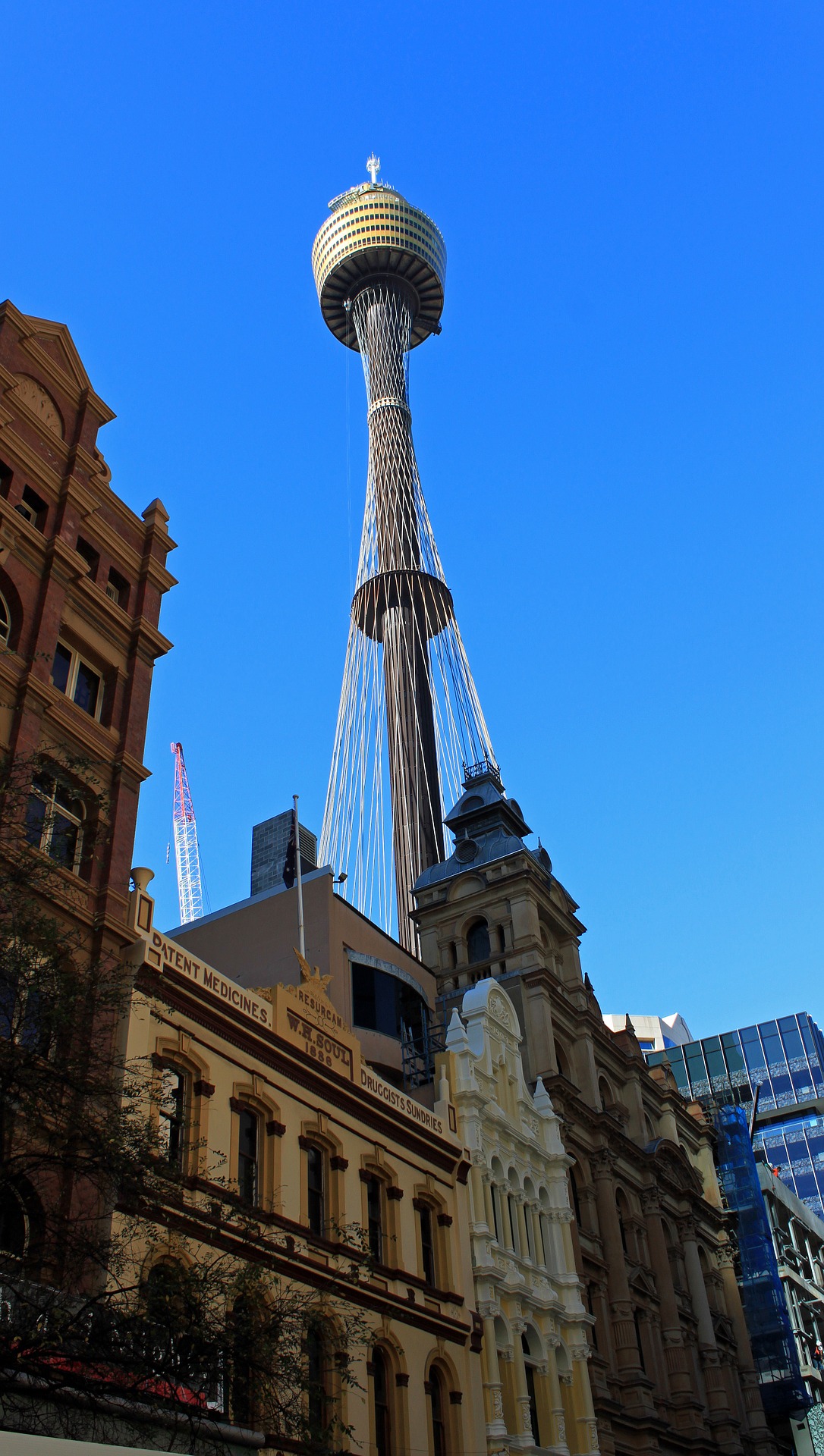 Sydney-tower